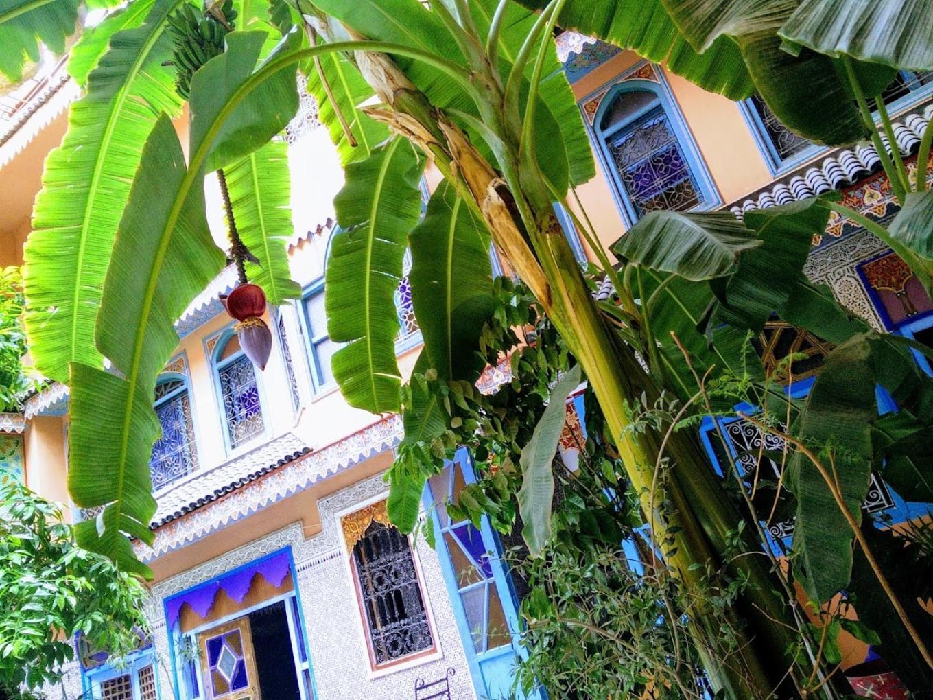 Riad Carole - Perfect For Families & Groups Marrakesch Exterior foto